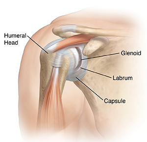 Front view of shoulder joint with muscles.