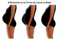 Ilustración que muestra las variaciones de llevar un bebé por nacer